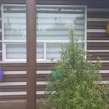 Cabanas Y Hostal Tepual Puerto Montt Exteriör bild